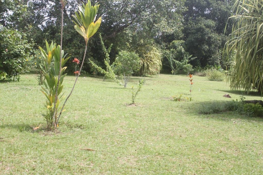 Hôtel FRAMOTEL Kribi Exterior foto